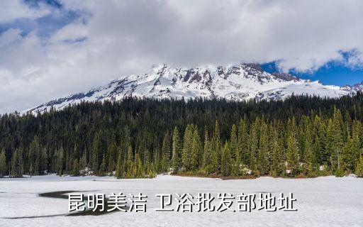 衛(wèi)浴產(chǎn)品批發(fā)商,梅捷衛(wèi)浴開拓海外市場誠摯歡迎客戶