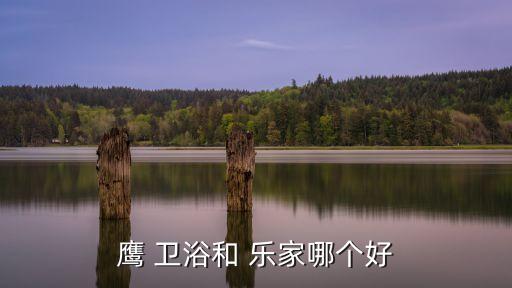 樂(lè)家 衛(wèi)浴,我國(guó)陶瓷衛(wèi)生企業(yè)