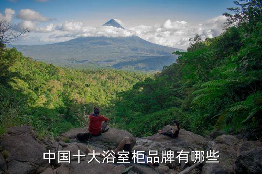 中國十大浴室柜品牌有哪些