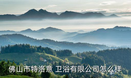 佛山市特洛意 衛(wèi)浴有限公司怎么樣