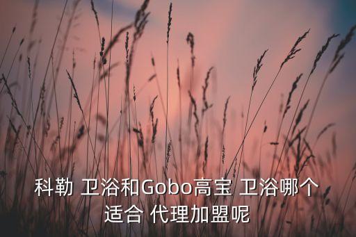 科勒 衛(wèi)浴和Gobo高寶 衛(wèi)浴哪個(gè)適合 代理加盟呢