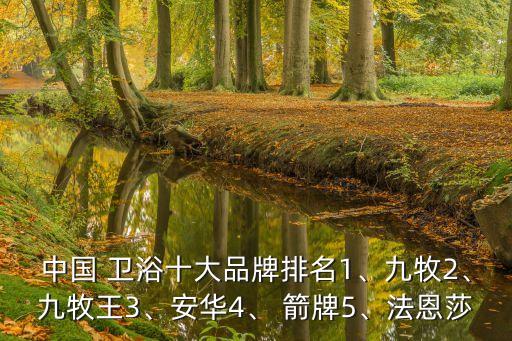 吉事多 箭牌 衛(wèi)浴,安華和箭牌法恩莎不會進入前十衛(wèi)浴品牌