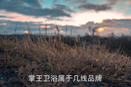 帝唯衛(wèi)浴怎么樣,十大衛(wèi)浴品牌之一張旺衛(wèi)浴推出最新系列