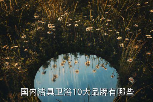  國(guó)內(nèi)潔具衛(wèi)浴10大品牌有哪些