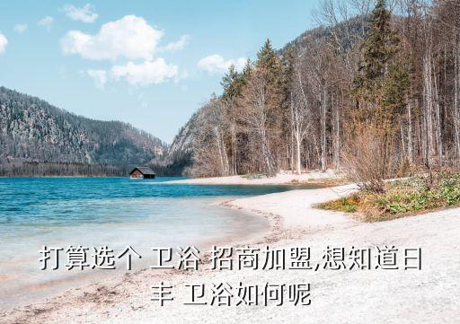 衛(wèi)浴總代理招商,衛(wèi)生間格局設計要考慮個人生活習慣和功能需求