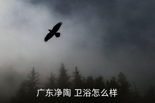 廣東凈陶 衛(wèi)浴怎么樣