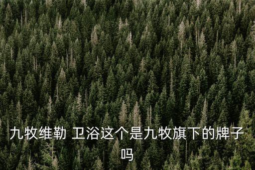 九好衛(wèi)浴價格表,九牧九牧衛(wèi)浴上電視廣告做宣傳