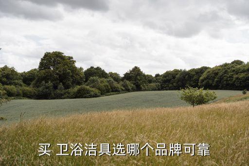 swell衛(wèi)浴售后電話,最新中國(guó)十大衛(wèi)浴品牌名單出爐