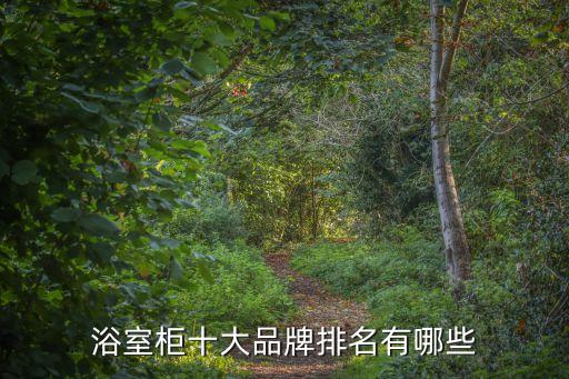 德州衛(wèi)浴市場,窮小戶型衛(wèi)浴整體裝修效果圖衛(wèi)浴圖片