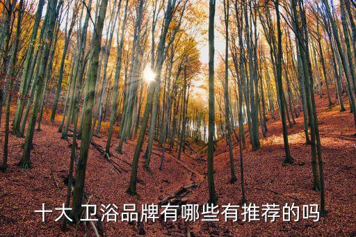十大 衛(wèi)浴品牌有哪些有推薦的嗎