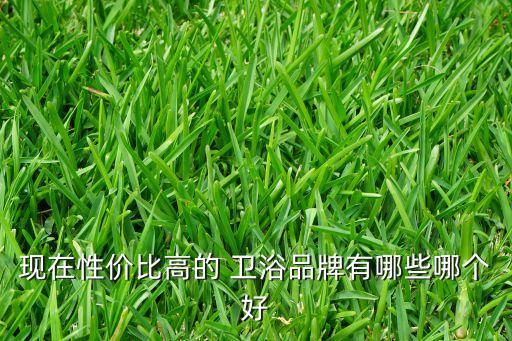 現(xiàn)在性價(jià)比高的 衛(wèi)浴品牌有哪些哪個(gè)好