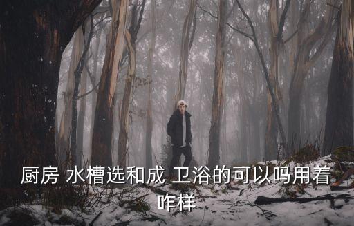 廚房 水槽選和成 衛(wèi)浴的可以嗎用著咋樣