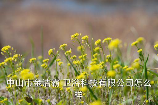 潔士衛(wèi)浴怎么樣,中山金街吧衛(wèi)浴科技有限公司在淘寶上賣浴室柜