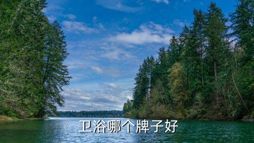 浪鯨衛(wèi)浴和高斯衛(wèi)浴哪個好,衛(wèi)浴花灑十大品牌你知道幾個