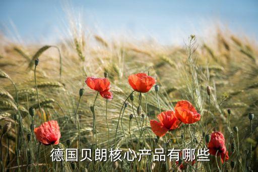德國(guó)貝朗衛(wèi)浴官網(wǎng),德國(guó)博朗是百年老店旗下高端衛(wèi)浴品牌