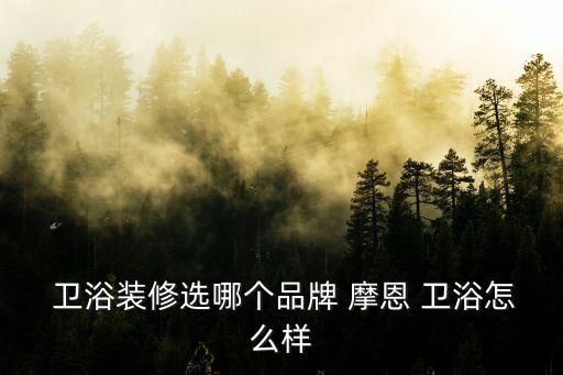  衛(wèi)浴裝修選哪個(gè)品牌 摩恩 衛(wèi)浴怎么樣