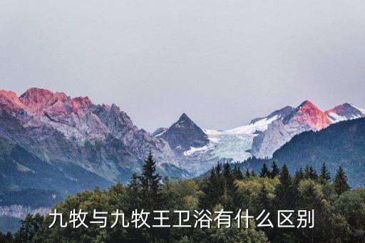 九牧衛(wèi)浴宣傳圖片,九牧衛(wèi)浴是衛(wèi)浴行業(yè)一線品牌有一定市場(chǎng)份額