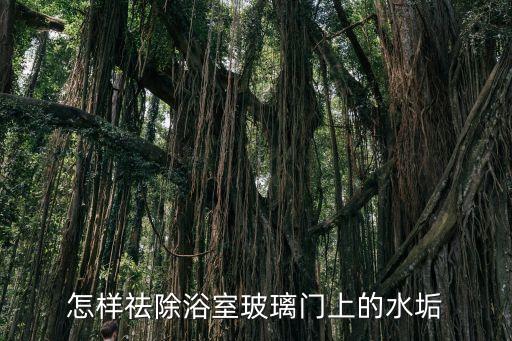 怎樣祛除浴室玻璃門(mén)上的水垢