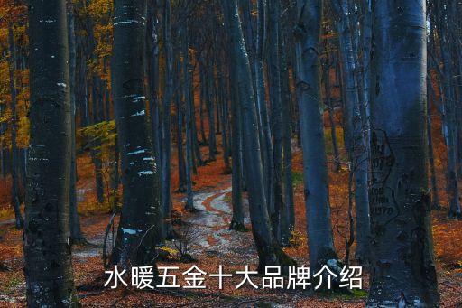  水暖五金十大品牌介紹