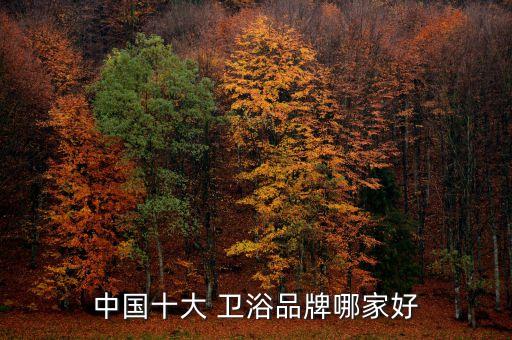 天貓衛(wèi)浴是品牌嗎,如何挑選中國十大衛(wèi)浴品牌?