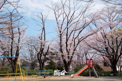 衛(wèi)浴貴嗎,一馬當(dāng)先衛(wèi)浴創(chuàng)新時(shí)代不負(fù)責(zé)任企業(yè)收縮市場(chǎng)