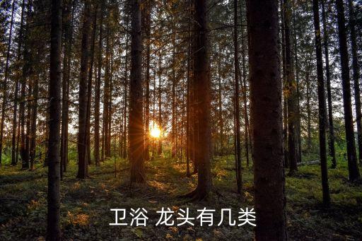 浴缸龍頭衛(wèi)浴,龍頭按功能分類家居衛(wèi)浴