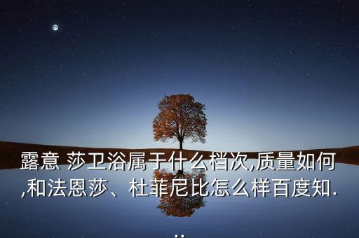 露意 莎衛(wèi)浴屬于什么檔次,質(zhì)量如何,和法恩莎、杜菲尼比怎么樣百度知...