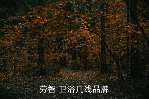 二三線衛(wèi)浴品牌有哪些,中國十大衛(wèi)浴品牌評選揭曉