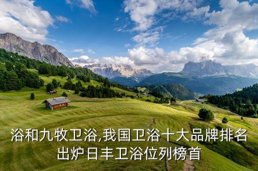 鷹衛(wèi)浴和九牧衛(wèi)浴,我國衛(wèi)浴十大品牌排名出爐日豐衛(wèi)浴位列榜首