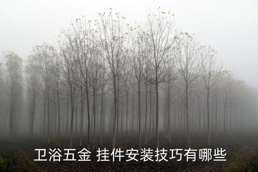  衛(wèi)浴五金 掛件安裝技巧有哪些