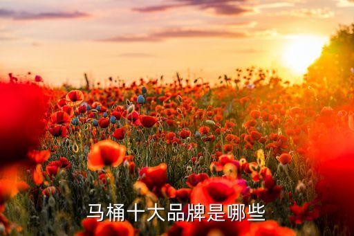 馬桶十大品牌是哪些