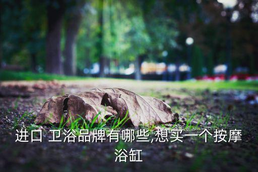 進(jìn)口 衛(wèi)浴品牌有哪些,想買一個(gè)按摩浴缸
