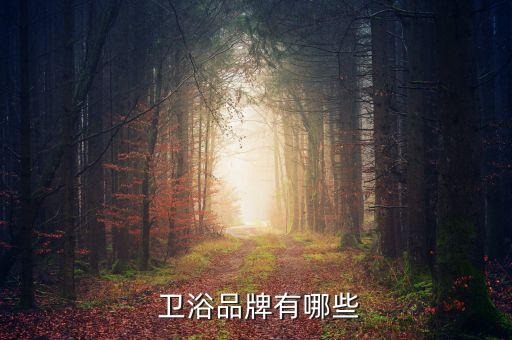 朝陽衛(wèi)浴浴缸,我家裝修好不容易惠達和箭牌衛(wèi)浴成十大品牌之一