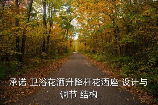 承諾 衛(wèi)浴花灑升降桿花灑座 設(shè)計(jì)與調(diào)節(jié) 結(jié)構(gòu)