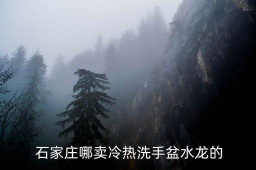  石家莊哪賣冷熱洗手盆水龍的