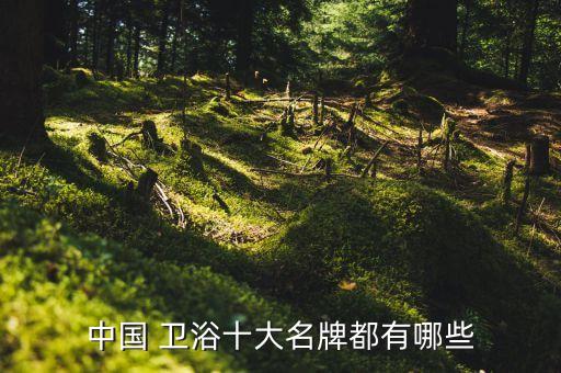 中國 衛(wèi)浴十大名牌都有哪些