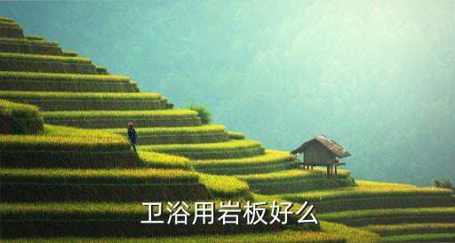 衛(wèi)浴要用好的嗎,衛(wèi)生間潔具不止一個(gè)要選對品牌掌握以下技巧