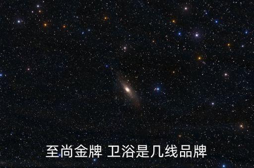 至尚金牌 衛(wèi)浴是幾線品牌
