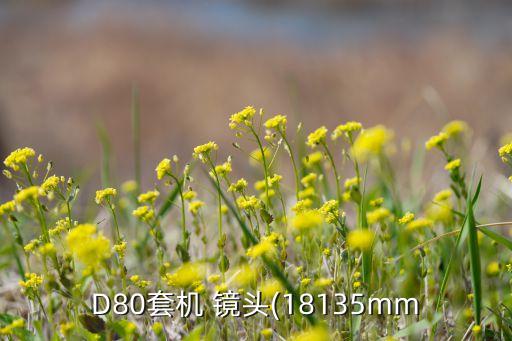 D80套機(jī) 鏡頭(18135mm