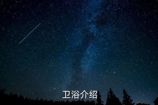  衛(wèi)浴介紹