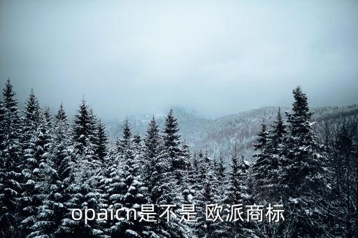 opaicn是不是 歐派商標(biāo)