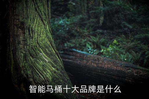 三和智能衛(wèi)浴,gogo高寶智能馬桶我喜歡它的設(shè)計(jì)和性價(jià)比