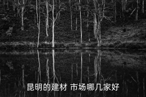 云南衛(wèi)浴市場分析,一站式建材超市云南最大的建材市場