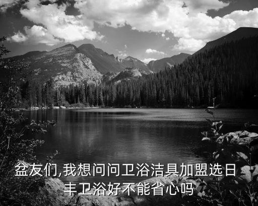 盆友們,我想問(wèn)問(wèn)衛(wèi)浴潔具加盟選日 豐衛(wèi)浴好不能省心嗎