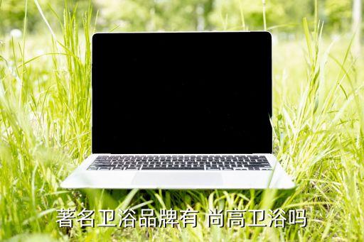 尚高衛(wèi)浴售后,衛(wèi)浴知名品牌排行榜出爐!我國(guó)衛(wèi)浴品牌怎么了?