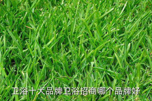 菲時(shí)特衛(wèi)浴專賣店,今年我知道的衛(wèi)生潔具品牌有哪些?