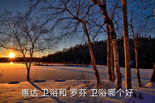 惠達(dá) 衛(wèi)浴和 羅芬 衛(wèi)浴哪個(gè)好