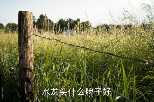 領(lǐng)袖衛(wèi)浴,精致生活融入水龍頭價(jià)格比較高