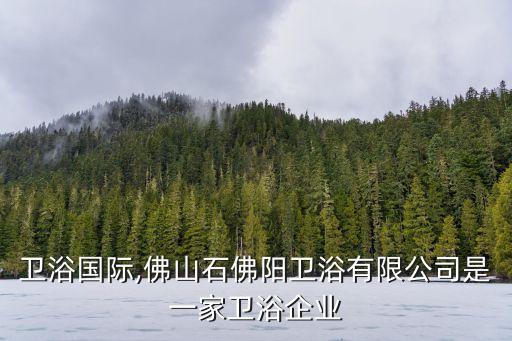 佛山衛(wèi)浴國際,佛山石佛陽衛(wèi)浴有限公司是一家衛(wèi)浴企業(yè)