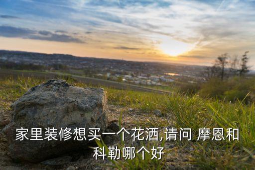 科勒 和成衛(wèi)浴 摩恩,高寶衛(wèi)浴我要重點(diǎn)推薦科勒花灑